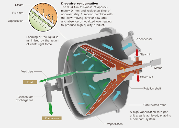EVAPOR Structure Diagram