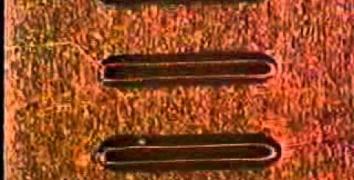 Product related video